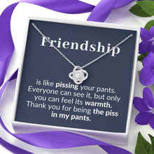 Load image into Gallery viewer, Friendship is like piss etsy
