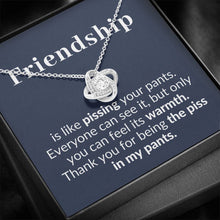 Load image into Gallery viewer, Friendship is like piss etsy