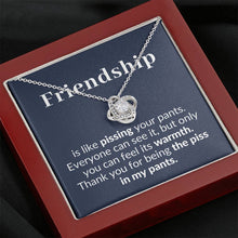 Load image into Gallery viewer, Friendship is like piss etsy
