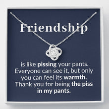 Load image into Gallery viewer, Friendship is like piss etsy
